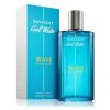 Davidoff Cool Water Wave Eau De Toilette, Fragrance For Men, 125ml